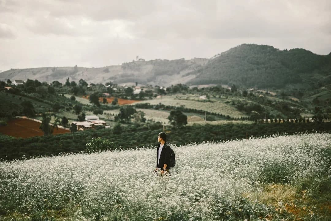 Đà Lạt landscape — invitation to join the next PaperFrame•7 cohort