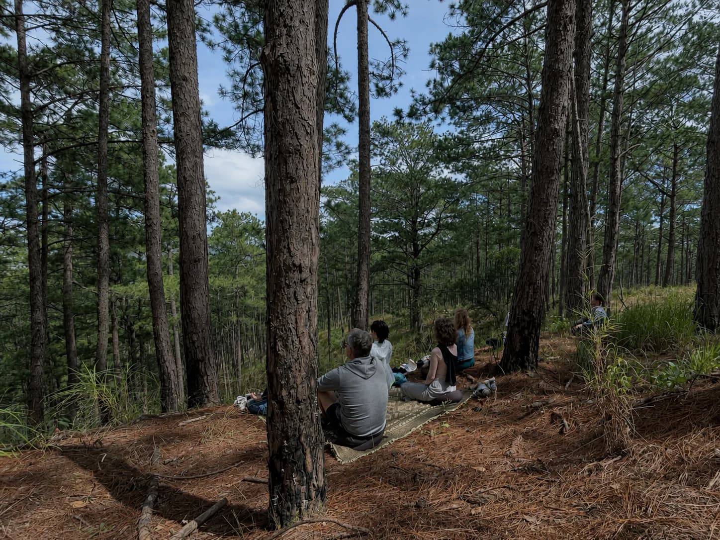 PaperFrame participants in a quiet pine-forest setting during the low-stimulation day